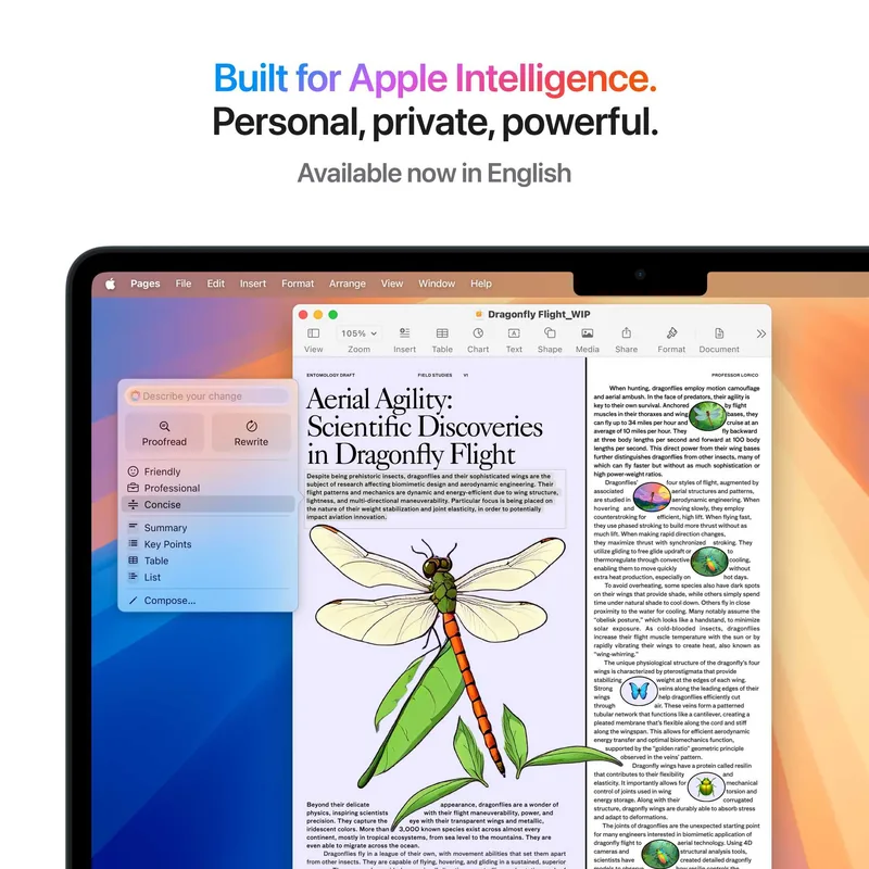 Apple MW123ZE/A MacBook Air 13,6" sülearvuti M4 kiibiga, must