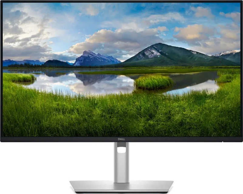 Dell P2425D 24" QHD monitor 100Hz, hõbedane