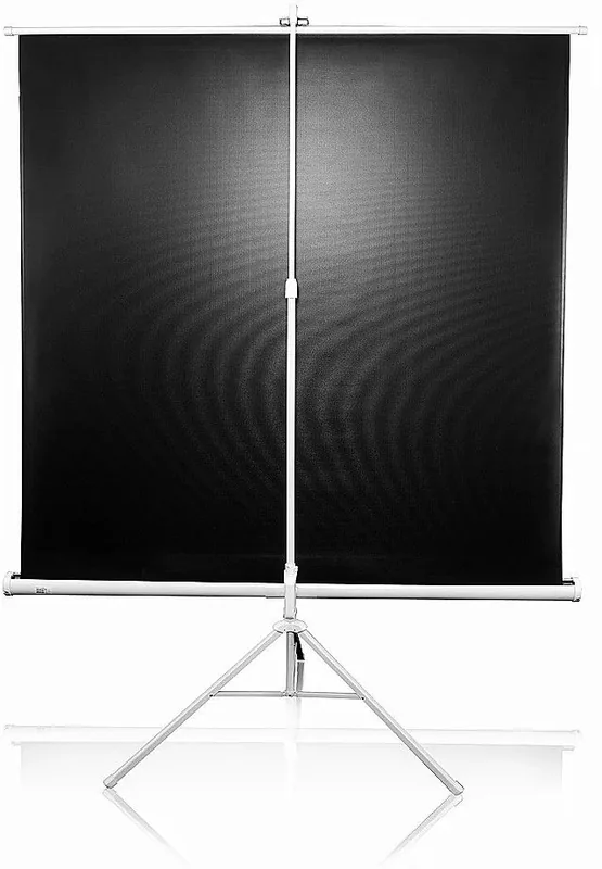 Elite Screens T99NWS1 projektori ekraan 99" statiiviga 1:1