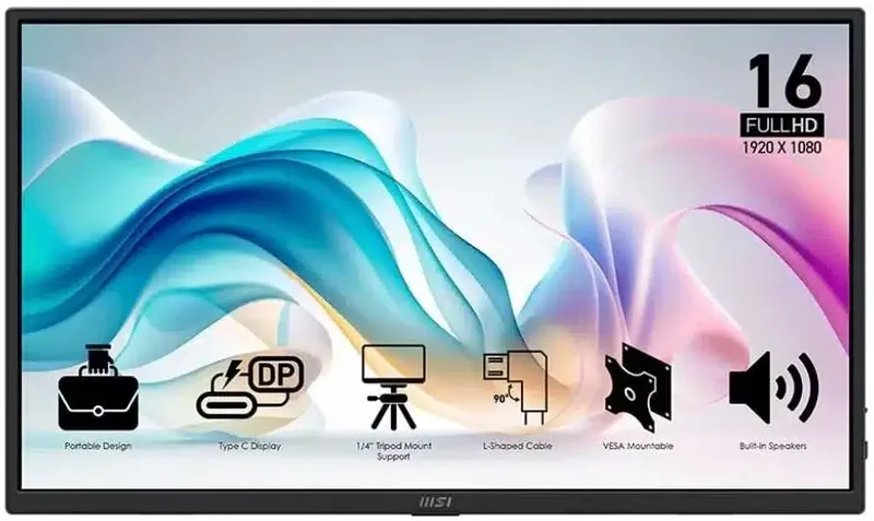 MSI PRO MP165 E6 16'' Full HD IPS kaasaskantav monitor, USB-C, must