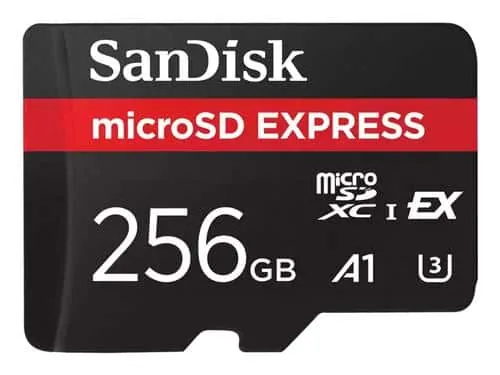 SanDisk SDSQXFN-256G-GN4NN microSD Express mälukaart 256GB, must