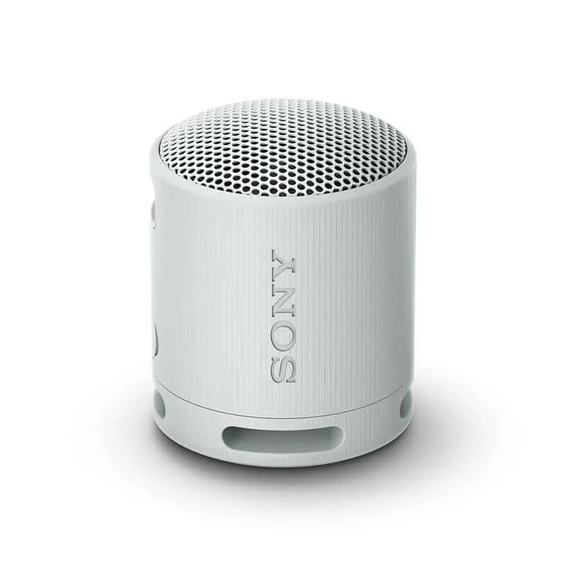 Sony SRS-XB100, helehall - kaasaskantav Bluetooth kõlar, IP67